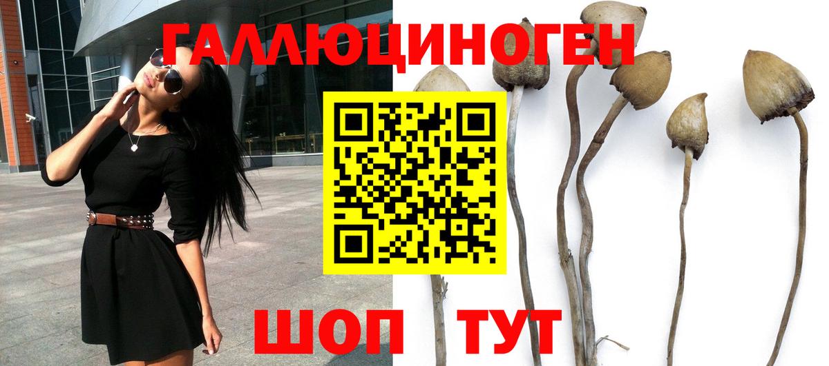 Псилоцибиновые грибы Magic Shrooms Лангепас